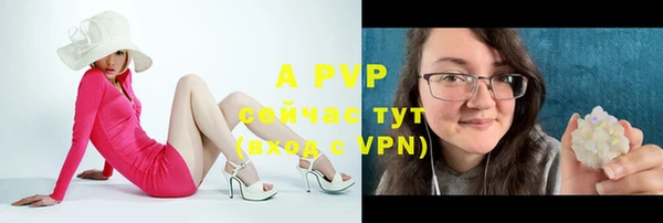 apvp Лабытнанги