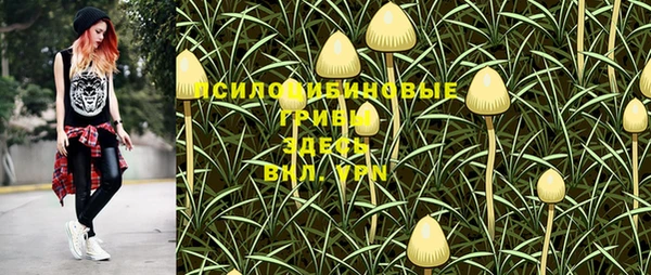 mdpv Лагань